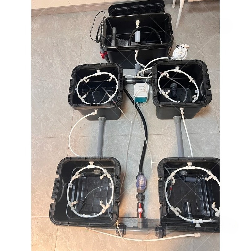 Dwc Bucket System 5 Gallon - 5 جالون دلو هولندي فقاعة المائية