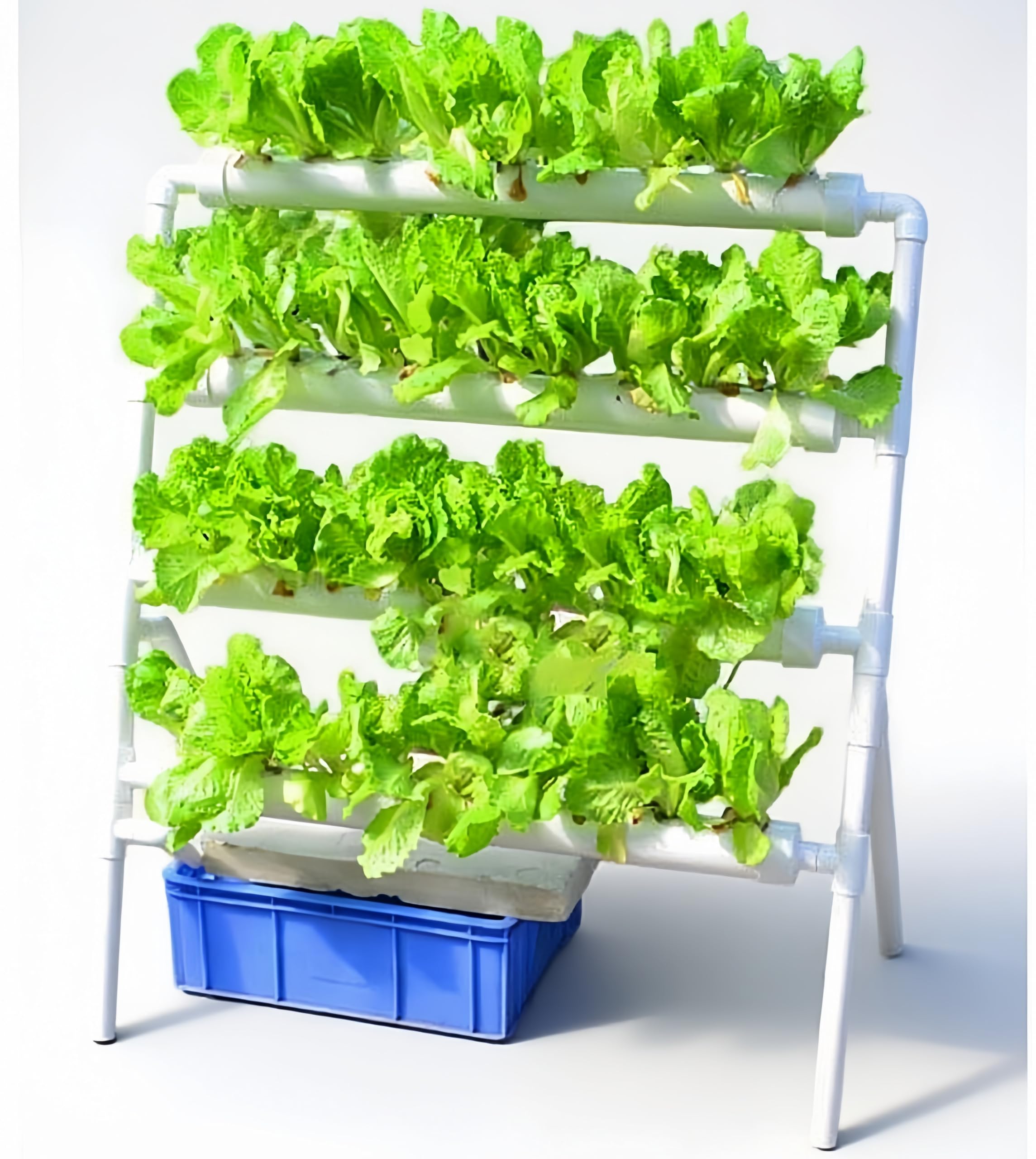 Hydroponic Growing System 36 Site - نظام زراعة مائي بـ 36 موقعًا