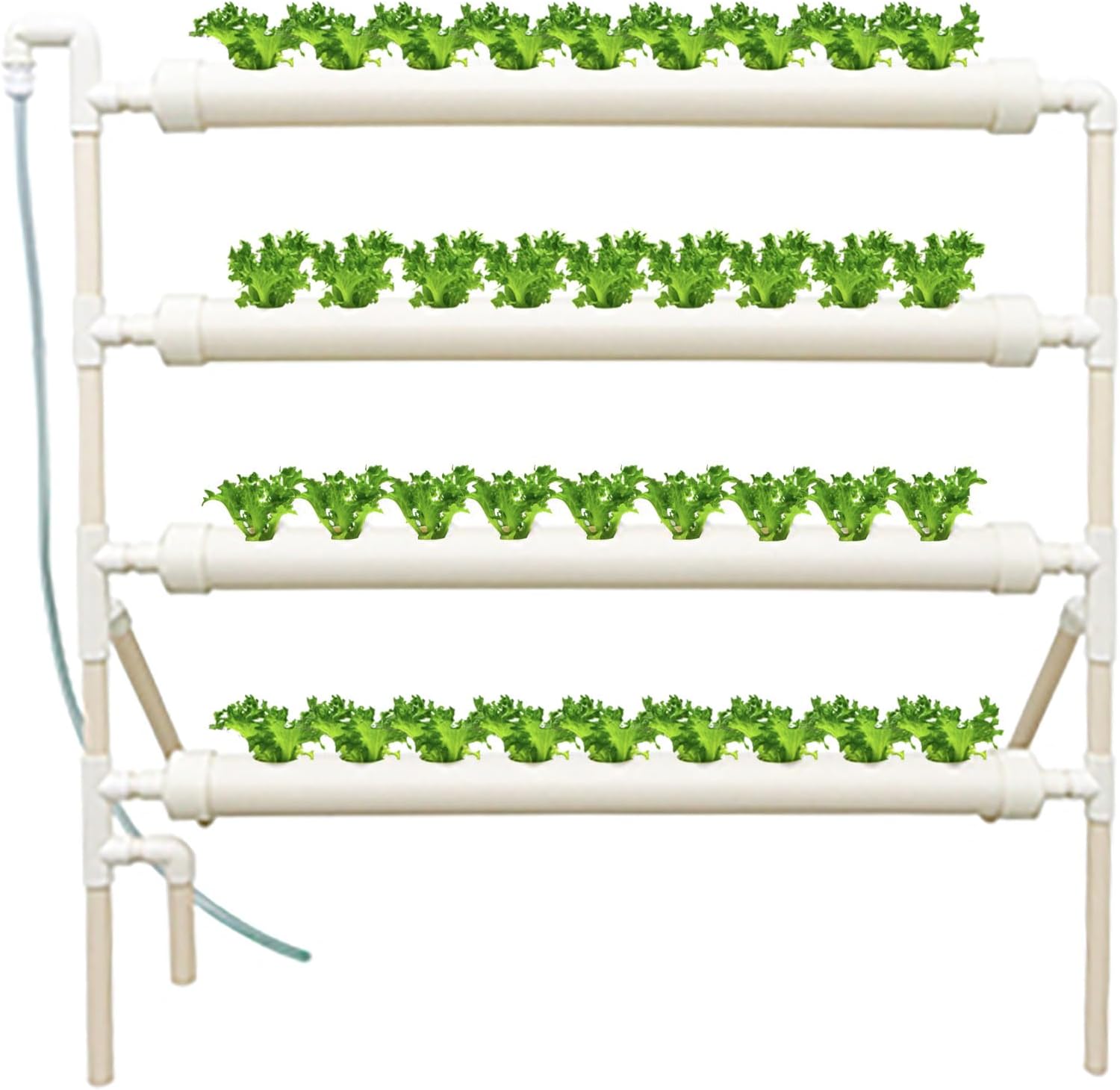 Hydroponic Growing System 36 Site - نظام زراعة مائية بـ 36 فتحة