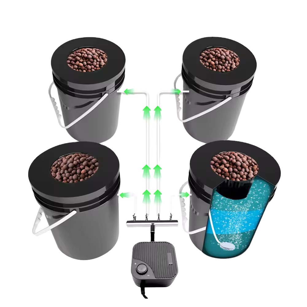 Dwc Bucket System 5 Gallon - جديد إمدادات المياه مزرعة تربية الأحياء