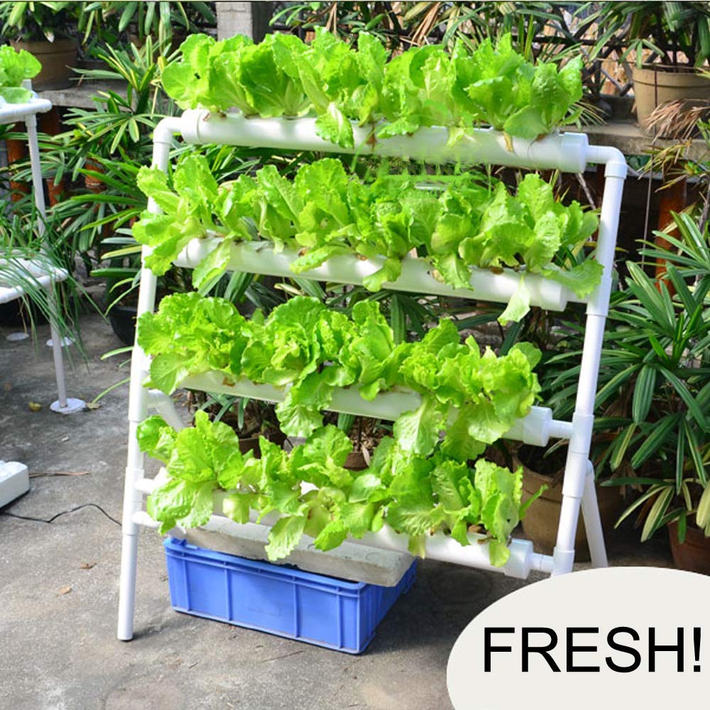 نظام زراعة مائي بـ 36 موقعًا ل - مراجعة Hydroponic Growing System 36 Site وسعره
