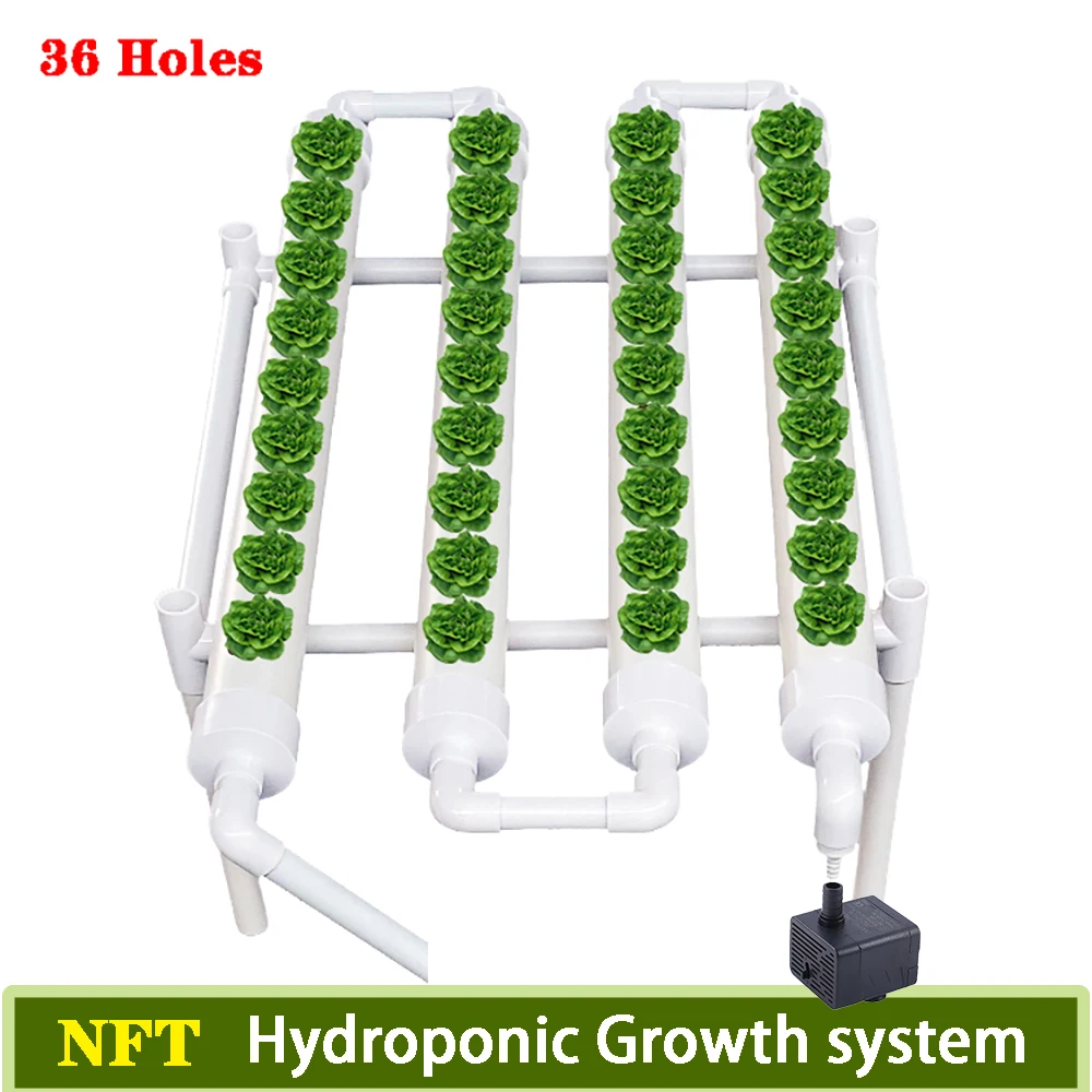 نظام زراعة مائي بـ 36 موقعًا،  - مراجعة Hydroponic Growing System 36 Site وسعره